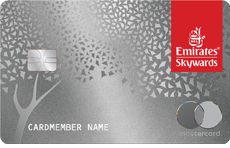 Emirates Skywards Rewards World Elite Mastercard® card art
